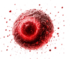 liver btm img1